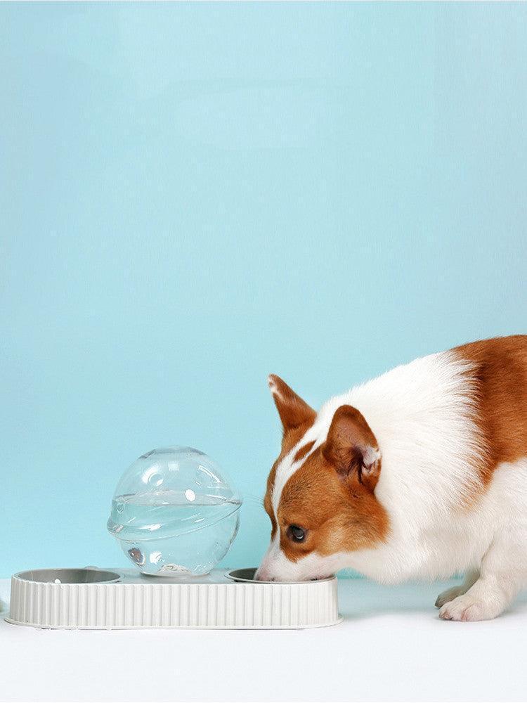 Automatic Pet Water Feeder - Clean And Convenient Drinking Solution For Cats And Dogs - Pets Perfect