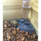 Automatic Reptile Feeding Tray And Drinking Fountain - Pets Perfect