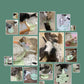 Automatic Self - Healing Cat Toy: Endless Fun And Boredom Relief - Pets Perfect