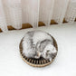 Splice Haven: Stylish Diy Corrugated Cat Scratcher - Pets Perfect
