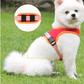 Luxury Suede Dog Harness Set: Stylish Leash And Adjustable Chest Strap For Pet Comfort - Pets Perfect