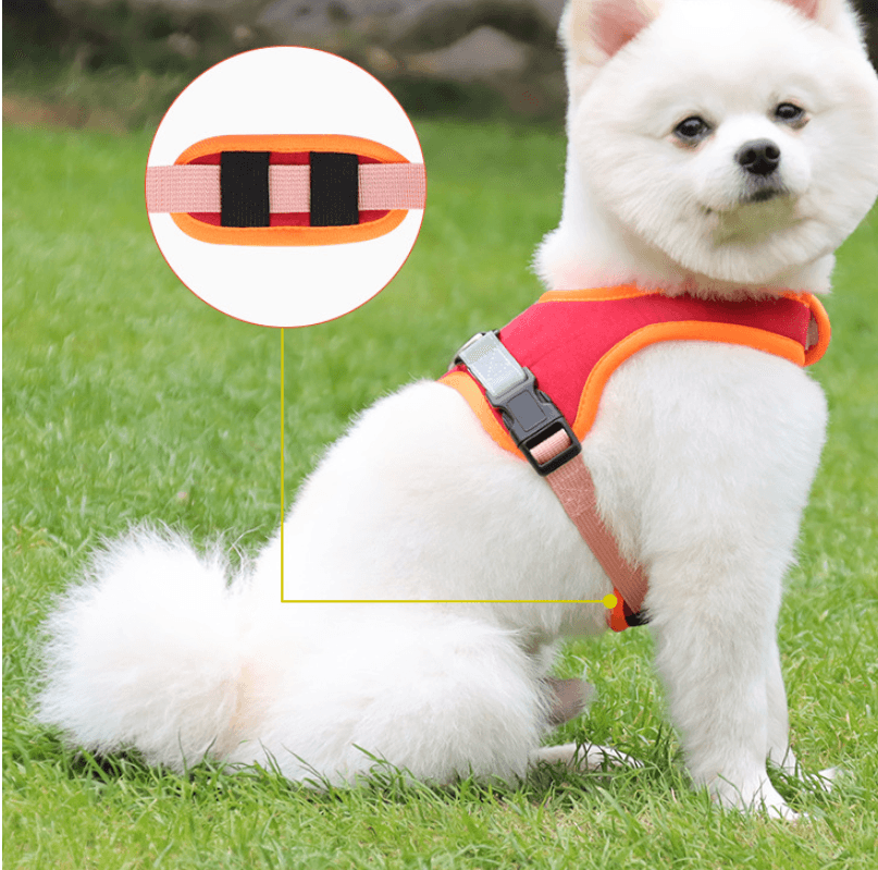 Luxury Suede Dog Harness Set: Stylish Leash And Adjustable Chest Strap For Pet Comfort - Pets Perfect