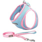 Pet Adventure Chest Harness And Leash Combo - Pets Perfect