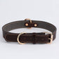 Leather Dog Collar - Western Cowboy Style - Pets Perfect