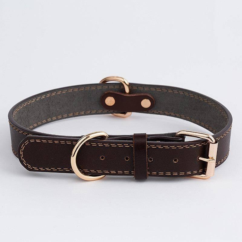 Leather Dog Collar - Western Cowboy Style - Pets Perfect