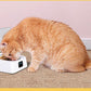 Smartpaws Automatic Moisture-Proof Pet Feeder