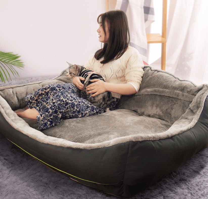 Luxury Pet Haven: Plush Polyester Sofa Bed For Dogs - Pets Perfect