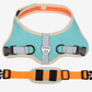 Luxury Suede Dog Harness Set: Stylish Leash And Adjustable Chest Strap For Pet Comfort - Pets Perfect