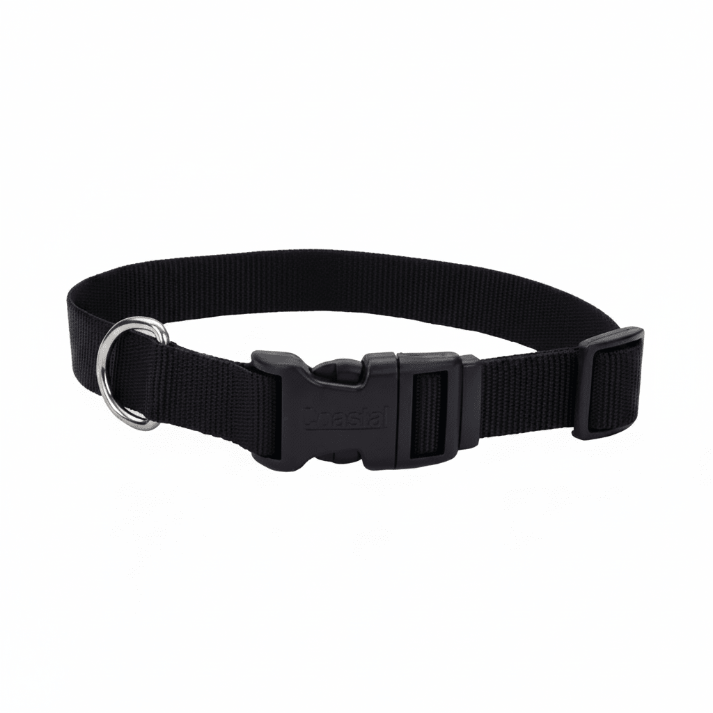 Coastal Adjustable Nylon Dog Collar with Plastic Buckle Black, 1ea/3/4 In X 1420 in - Pets Perfect