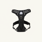 Black Headlight Harness