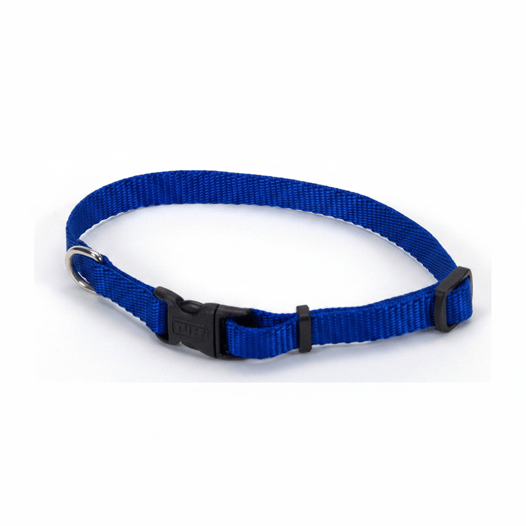 Coastal Adjustable Nylon Dog Collar with Plastic Buckle Blue, 1ea/3/8 In X 812 in - Pets Perfect