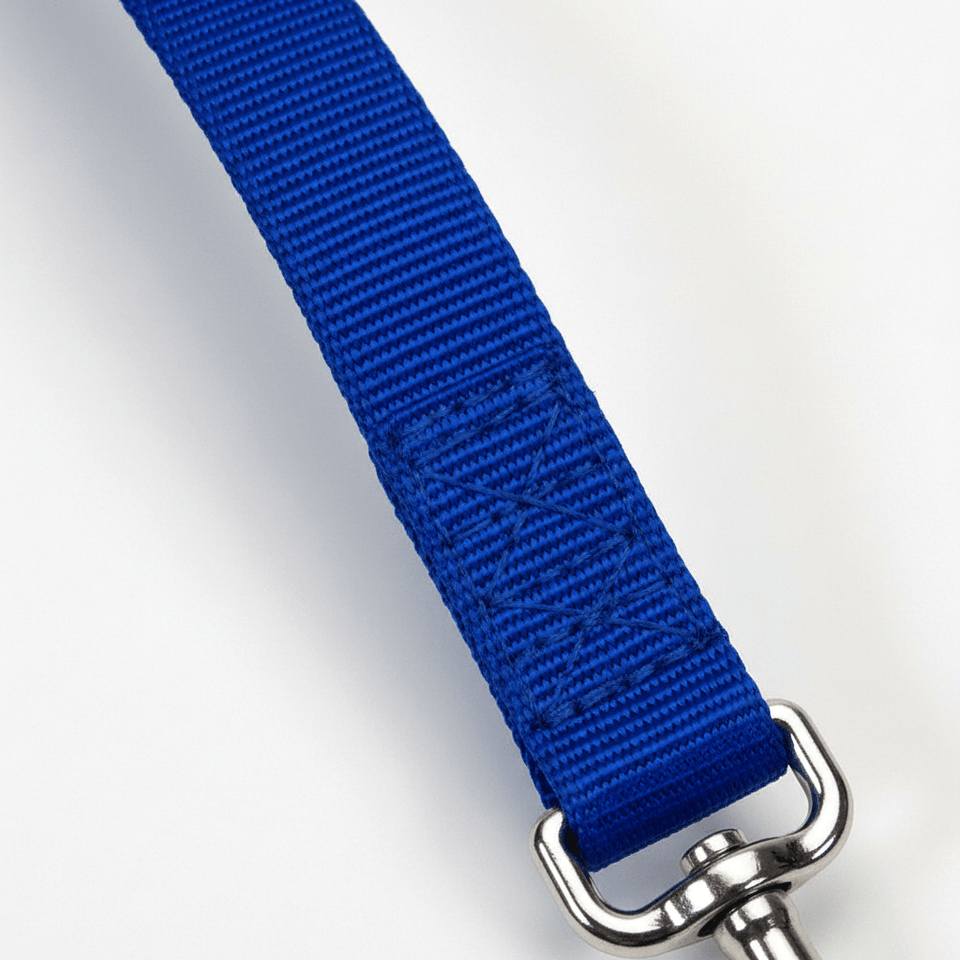 Coastal DoublePly Nylon Traffic Dog Leash Blue, 1 in x 24 in, view 4