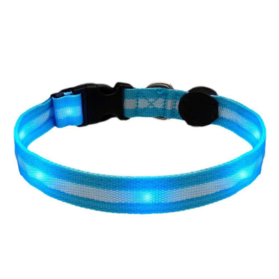 LED Blue Flashing Dog Collar - Rechargeable Safety Collar for Night