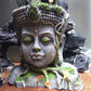 Bodhisattva Head Resin Aquarium Decoration - Stunning Reptile Tank Ornament - Pets Perfect