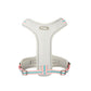 Breathable Mesh Dog Harness With Anti - Breakaway Traction Rope - Pets Perfect