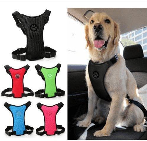 Breathable Mesh Pet Car Safety Chest Harness - Pets Perfect