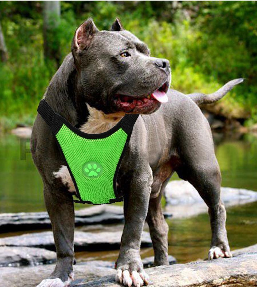 Breathable Mesh Pet Car Safety Chest Harness - Pets Perfect