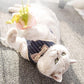 Breathable Mesh Pet Leash For Dogs And Cats - Pets Perfect