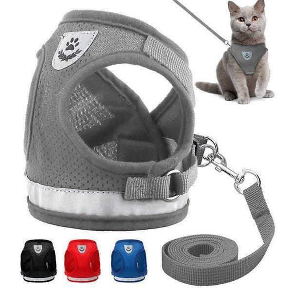 Breathable Mesh Pet Leash With Reflective Design And Matching Belt - Pets Perfect