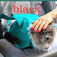 Breathable Pet Travel Shoulder Bag: The Ultimate Comfort Carrier For Your Furry Friend - Pets Perfect