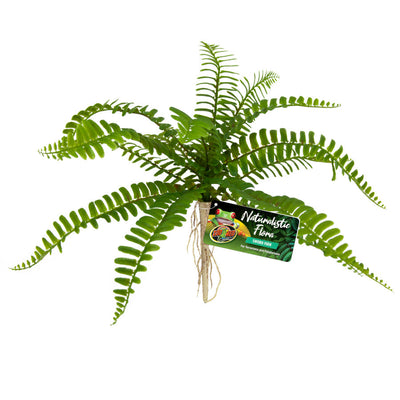 Zoo Med Naturalistic Flora Sword Fern Terrarium Plant, Green, Tan