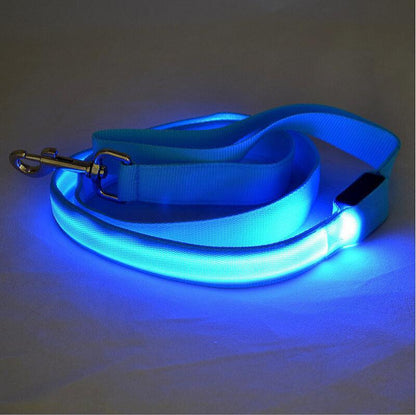 Glowing Pet Leash - Illuminated Led Dog Leash - Pets Perfect