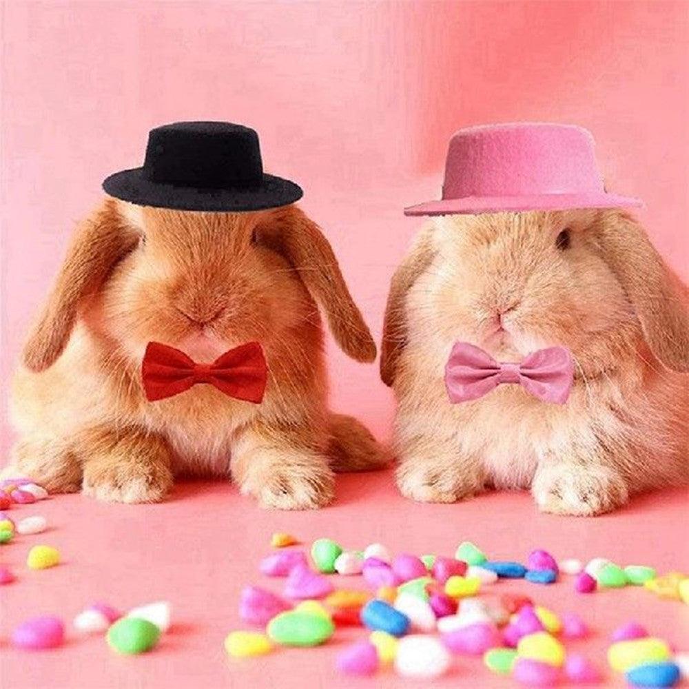 Felt Hat & Bow Tie Set for Small Pets - Festive Costume Accessory - Pets Perfect