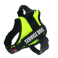 Explosafe Pet Leash: The Ultimate Safety Harness For Your Furry Friend - Pets Perfect