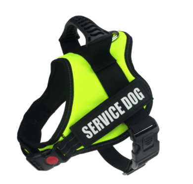 Explosafe Pet Leash: The Ultimate Safety Harness For Your Furry Friend - Pets Perfect
