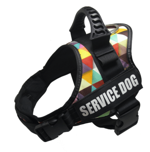 Explosafe Pet Leash: The Ultimate Safety Harness For Your Furry Friend - Pets Perfect
