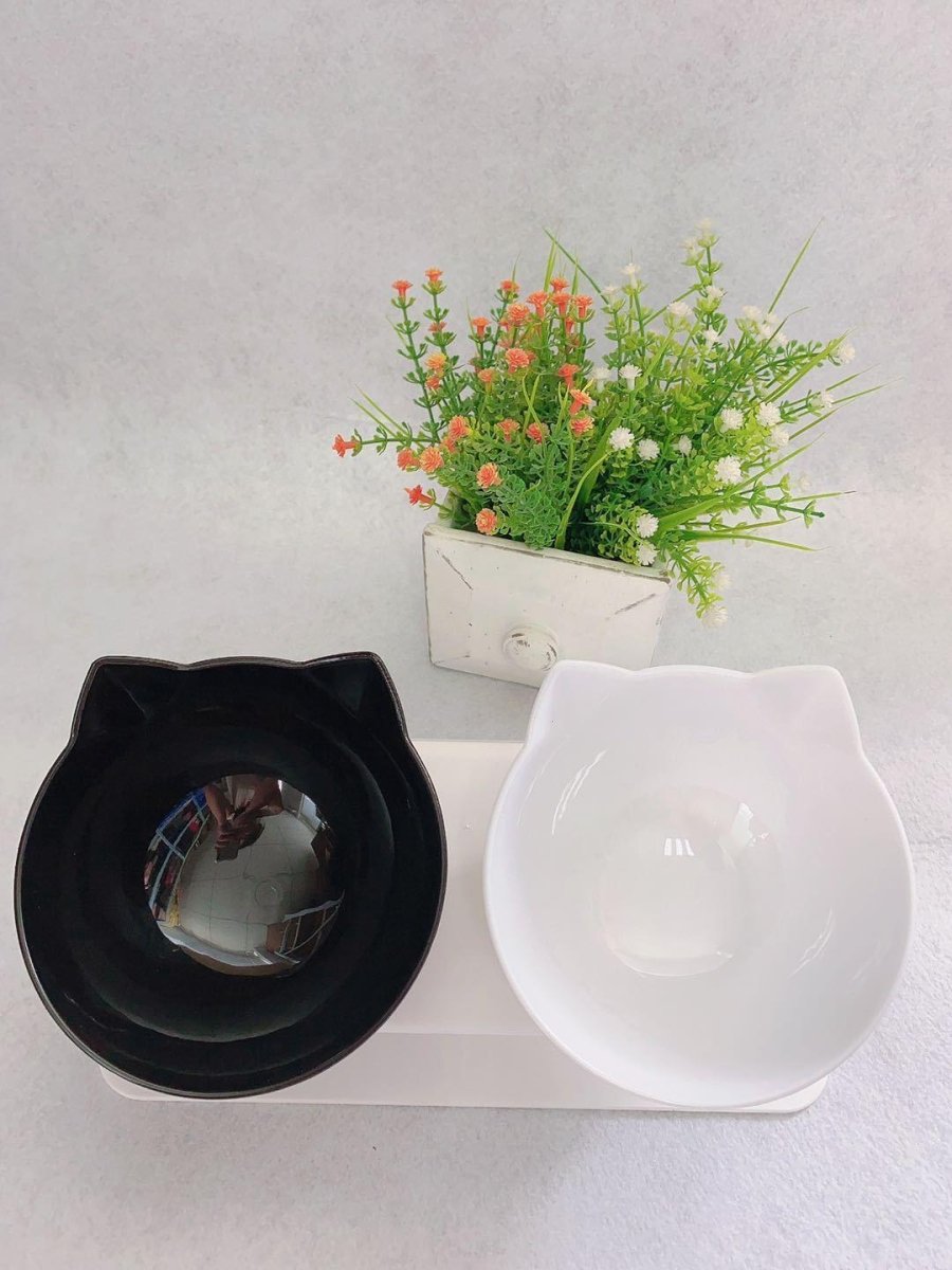 Cat Double Bowl - The Perfect Companion For Your Feline Friend - Pets Perfect