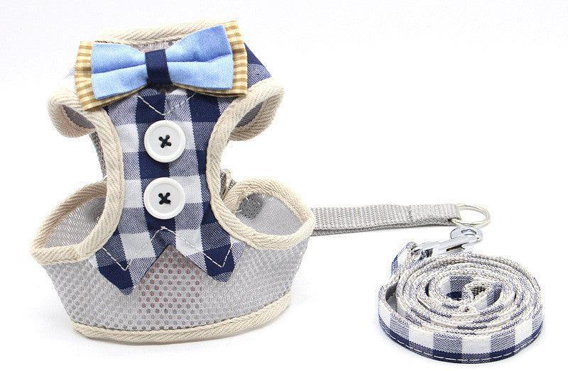 Cat Explorer Adventure Set-3