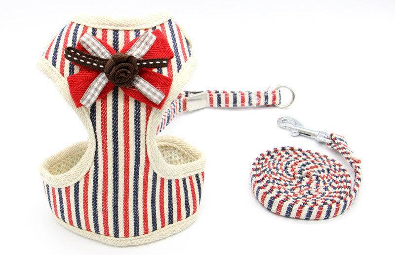 Cat Explorer Adventure Set-2