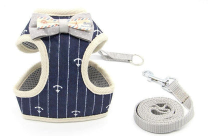 Cat Explorer Adventure Set-5