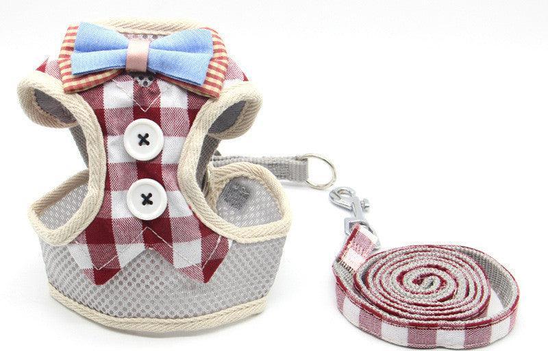 Cat Explorer Adventure Set-4