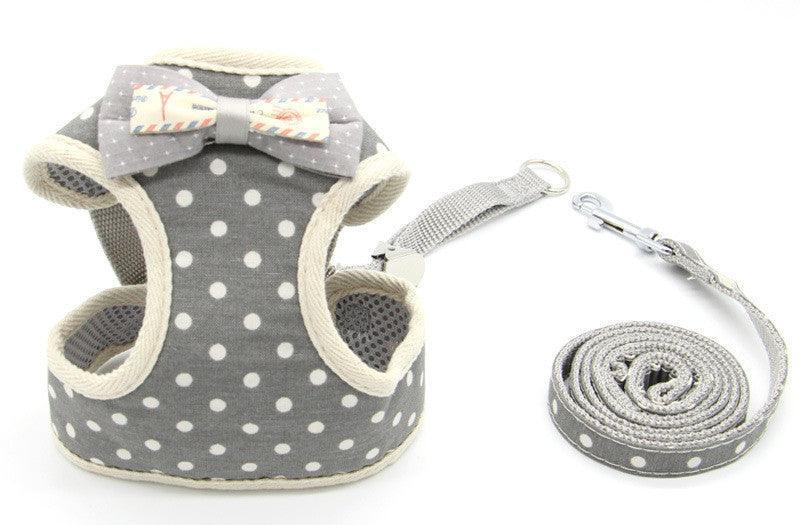 Cat Explorer Adventure Set-10