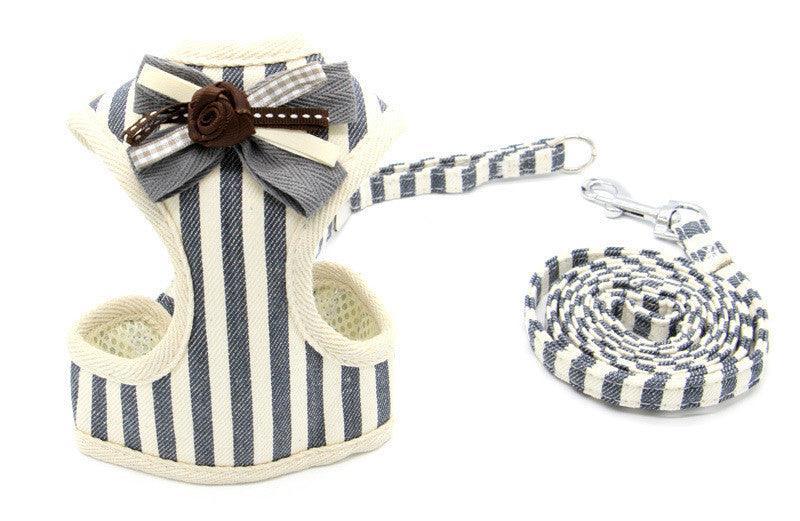 Cat Explorer Adventure Set-0