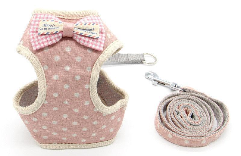 Cat Explorer Adventure Set-11