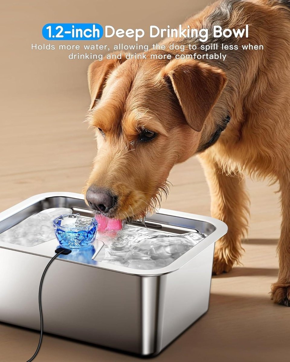 3 gal Extra Large Stainless Steel Dog Water Fountain, view 4