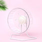 Silent Exercise Wheel for Hamsters, Gerbils & Small Pets - Pets Perfect