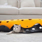 Cheese Cat Adventure Tunnel - Pets Perfect