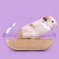 Hamster Sand Bath House - Cloud Shaped Dust Bath Container.