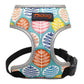 Dog Hugs Cat ComfortFit Nylon Harness & Leash Set - Breathable Adjustable Harness for Cats & Small Dogs - Pets Perfect