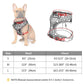Dog Hugs Cat ComfortFit Nylon Harness & Leash Set - Breathable Adjustable Harness for Cats & Small Dogs - Pets Perfect