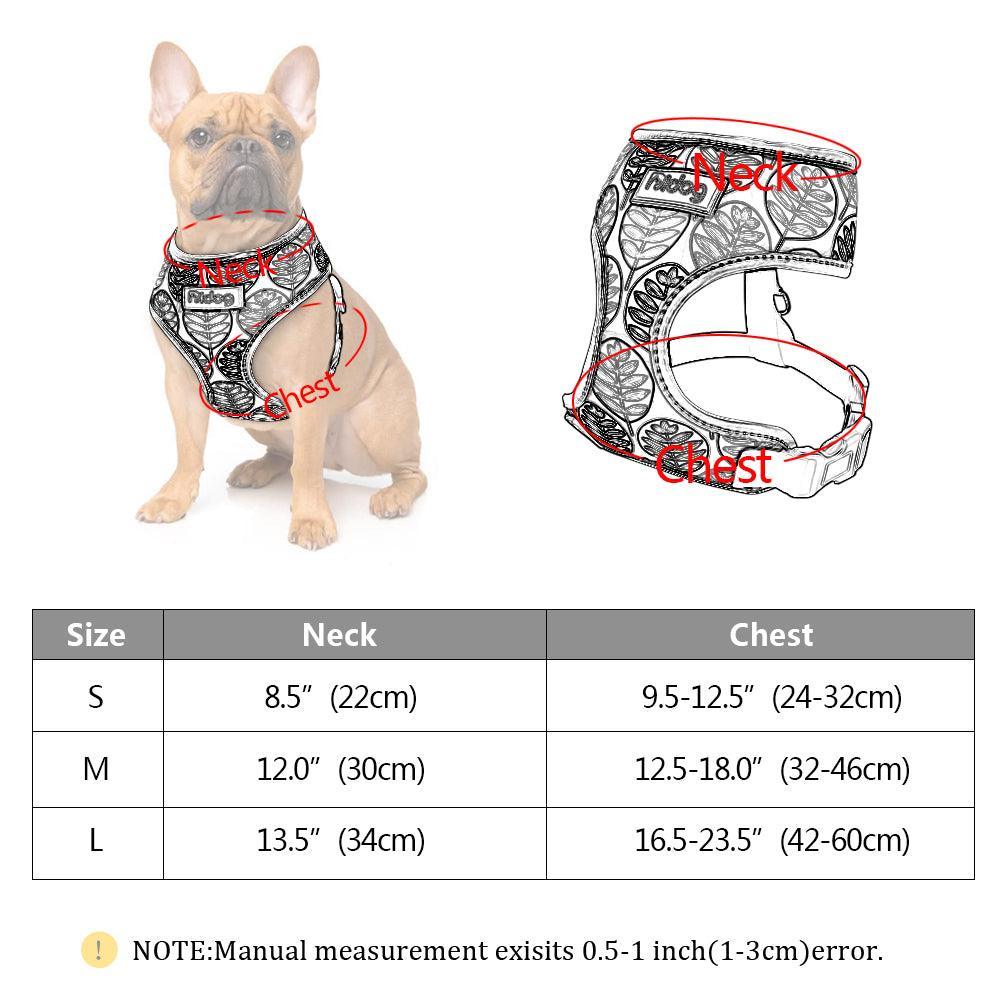 Dog Hugs Cat ComfortFit Nylon Harness & Leash Set - Breathable Adjustable Harness for Cats & Small Dogs - Pets Perfect