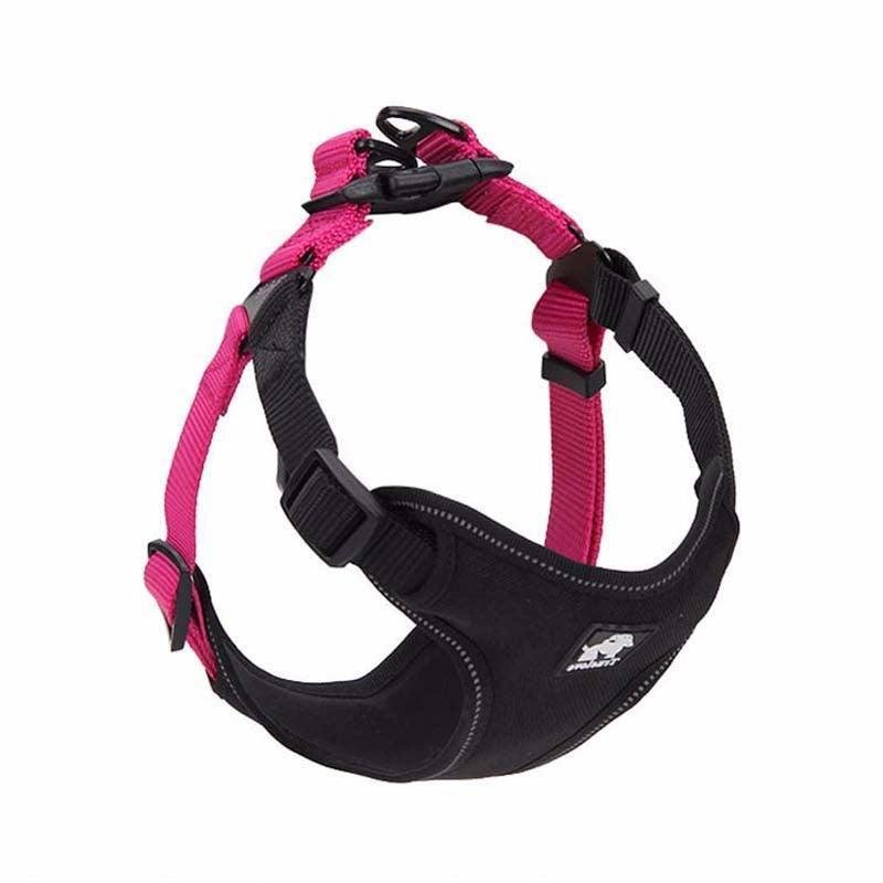 Comfortmesh Dog Leash Collar: Convenient And Stylish Walking Companion For Dogs Of All Sizes - Pets Perfect