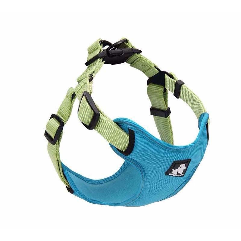 Comfortmesh Dog Leash Collar: Convenient And Stylish Walking Companion For Dogs Of All Sizes - Pets Perfect