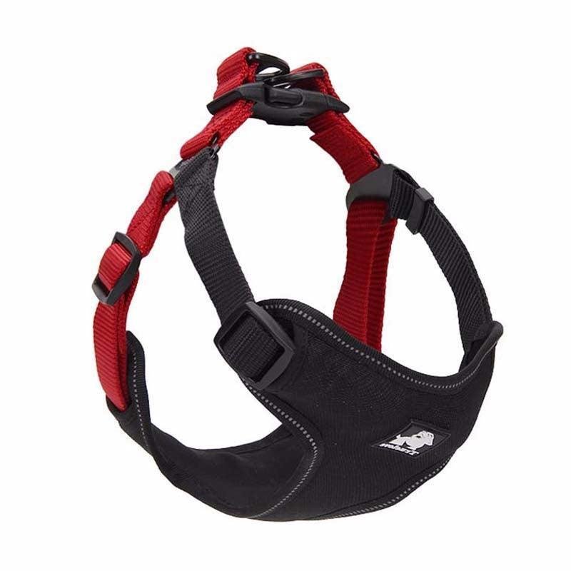 Comfortmesh Dog Leash Collar: Convenient And Stylish Walking Companion For Dogs Of All Sizes - Pets Perfect