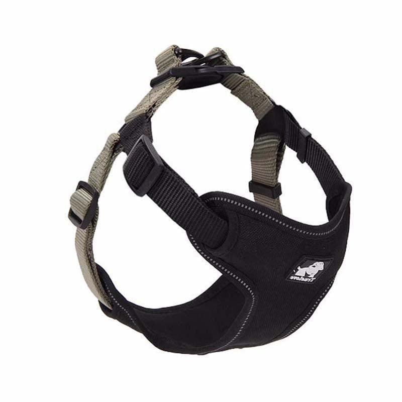 Comfortmesh Dog Leash Collar: Convenient And Stylish Walking Companion For Dogs Of All Sizes - Pets Perfect