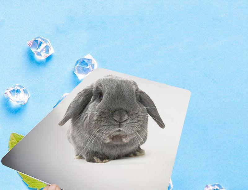 Aluminum Cooling Plate for Small Pets Beat the Heat - Pets Perfect